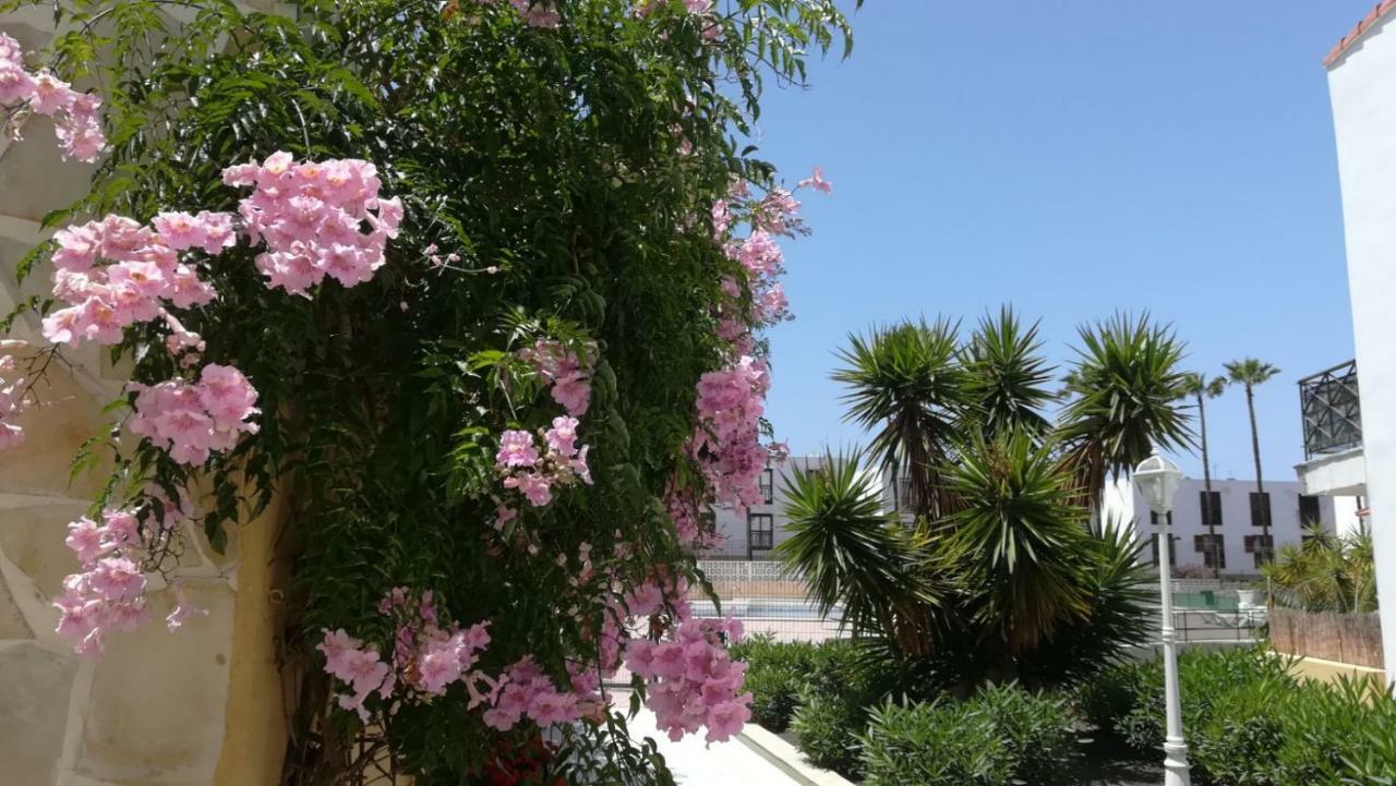 Tenerife Altamar Paradise 플라야데라스아메리카스 외부 사진